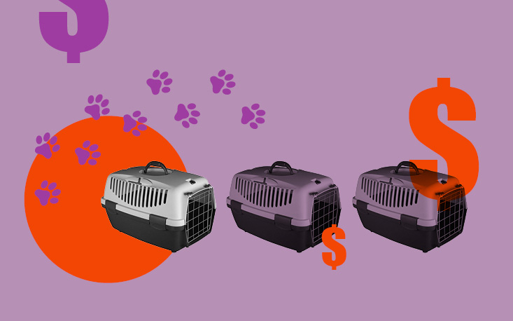 FecomercioSP e Sindilojas-SP defendem veto a PL que prejudica petshops do Estado e põe animais em risco FecomercioSP e Sindilojas-SP defendem veto a PL que prejudica petshops do Estado e põe animais em risco