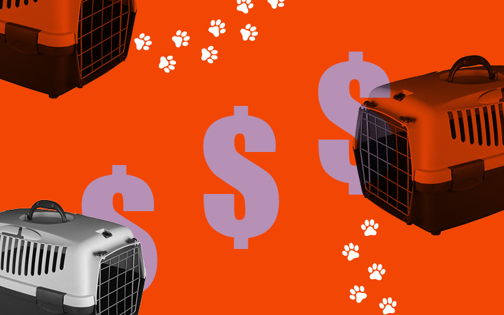 FecomercioSP e Sindilojas-SP conseguem veto a PL que prejudicaria petshops do Estado FecomercioSP e Sindilojas-SP conseguem veto a PL que prejudicaria petshops do Estado