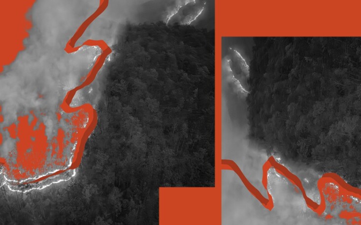 Impactos de queimadas florestais podem durar décadas, com perda de biodiversidade e piora da qualidade da água Impactos de queimadas florestais podem durar décadas, com perda de biodiversidade e piora da qualidade da água