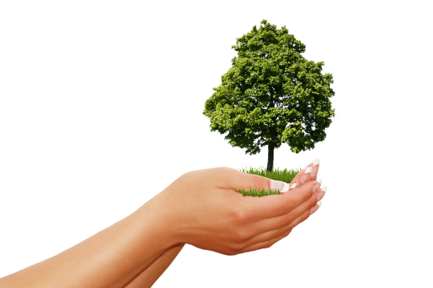 Em março, Senac Jabaquara realiza palestras sobre sustentabilidade Em março, Senac Jabaquara realiza palestras sobre sustentabilidade