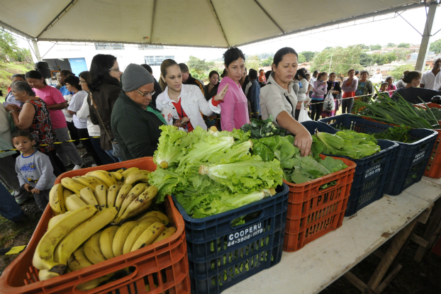 “Lixo que Vale” troca resíduos recicláveis por alimentos em Umuarama