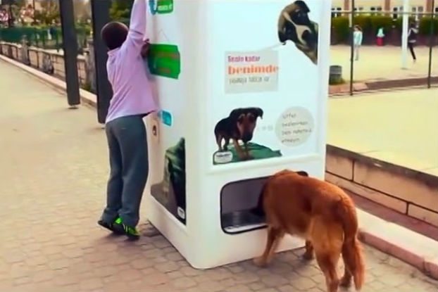 Máquina alimenta cães e gatos de rua em troca de garrafas recicláveis Máquina alimenta cães e gatos de rua em troca de garrafas recicláveis