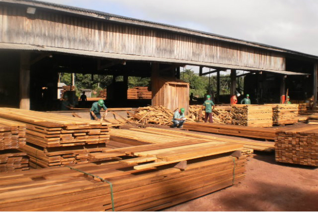 Empresa de manejo florestal ganha espaço após Prêmio de Sustentabilidade Empresa de manejo florestal ganha espaço após Prêmio de Sustentabilidade