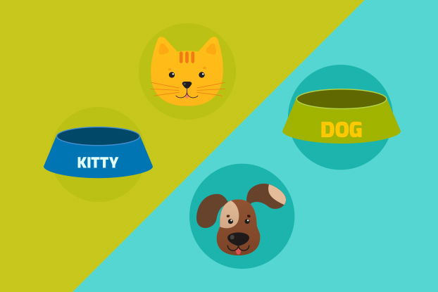 Indústria de alimentos para pets investe em processos sustentáveis Indústria de alimentos para pets investe em processos sustentáveis