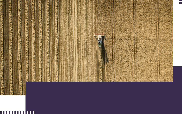 Safra agrícola recorde contribui para a queda da inflação Safra agrícola recorde contribui para a queda da inflação