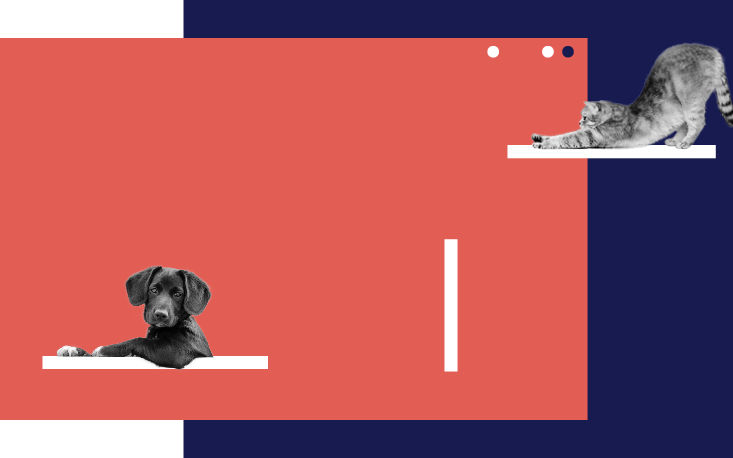 Na contramão da crise econômica, mercado pet cresce Na contramão da crise econômica, mercado pet cresce