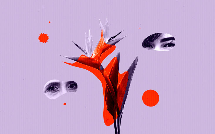Proposta de alteração no comércio na data do Dia das Mães é medida superficial Proposta de alteração no comércio na data do Dia das Mães é medida superficial