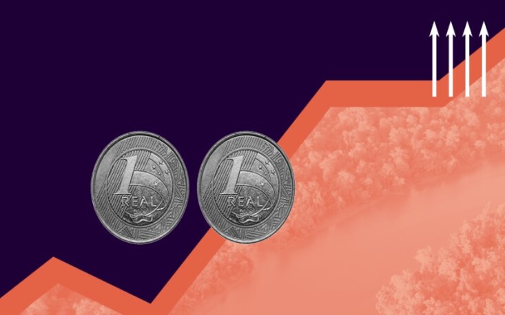 Pequenas empresas, grandes impactos: startups com propósito socioambiental ganham espaço no Brasil, mas falta apoio financeiro Pequenas empresas, grandes impactos: startups com propósito socioambiental ganham espaço no Brasil, mas falta apoio financeiro