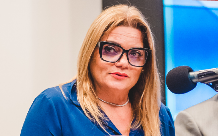 Gisela Lucas, vice-presidente da FecomercioSP Gisela Lucas, vice-presidente da FecomercioSP