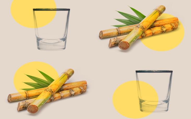 Cachaça não é água não