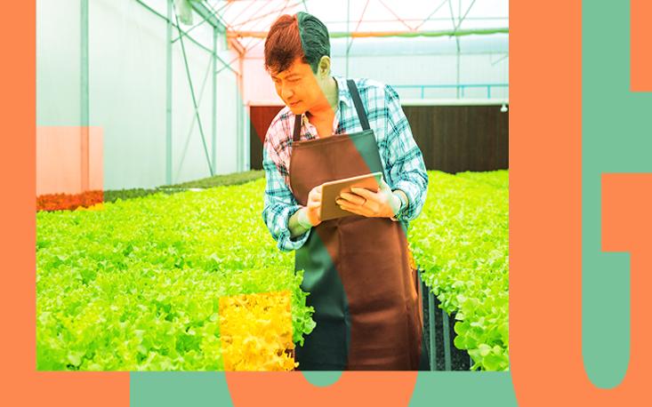 Agenda clim&aacute;tica e neg&oacute;cios: as li&ccedil;&otilde;es de 2025 e os desafios de 2026 para o Com&eacute;rcio e os Servi&ccedil;os