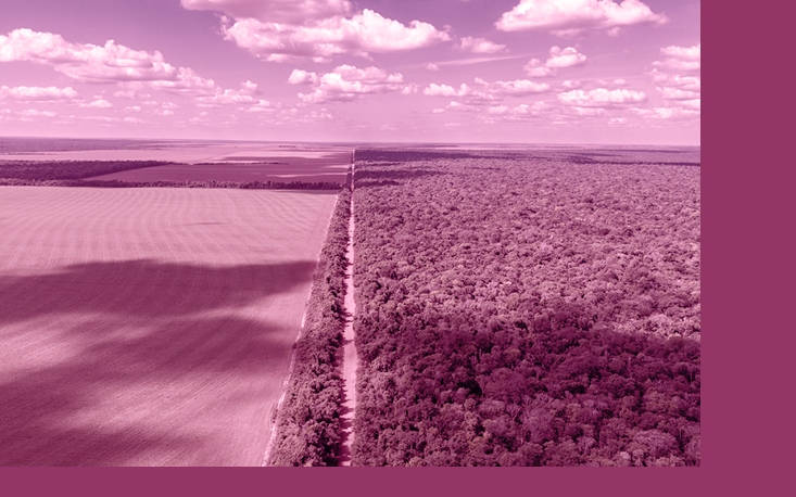 Mercado de carbono brasileiro come&ccedil;a a sair do papel