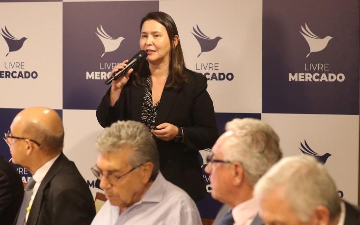 Sarina Manata, assessora da FecomercioSP, aborda proposta de atualiza&ccedil;&atilde;o da Entidade