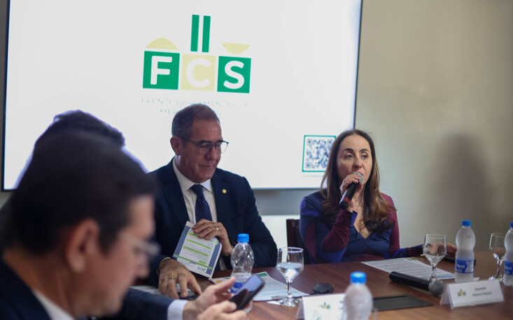A deputada Adriana Ventura (Novo-SP)